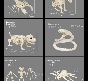 Detailed views of realistic Halloween animal skeletons including bat, scorpion, and spider