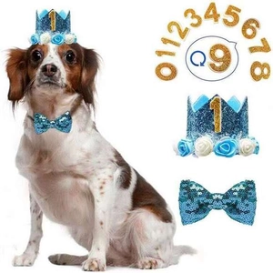 Detail of dog birthday crown with blue glitter, roses, matching bowtie and number set