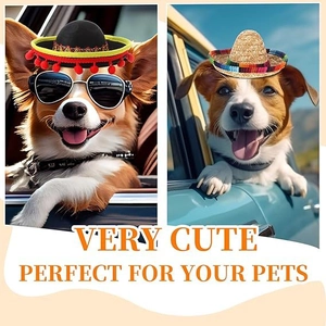 Close-up of small black felt sombrero and straw hat with colorful pom-poms for pets