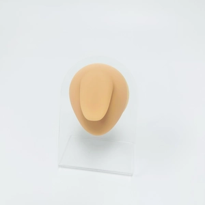 Detailed realistic silicone practice finger model displayed on clear acrylic stand