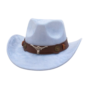 Close-up detail of a light blue suede western cowboy hat with a brown bull head band