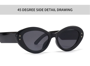 Detailed 45-degree side view of black cat-eye sunglasses with gold star accents