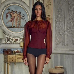 Detail of burgundy chiffon corset top with ruched long sleeves and mesh texture