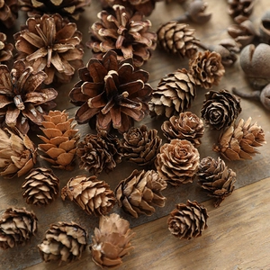 Natural pine cones and dried seed pods on rustic wood background for Christmas decor