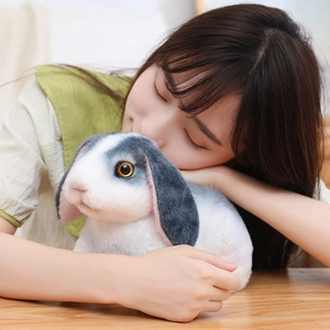 Gros plan détaillé d'une peluche de lapin aux oreilles tombantes avec des yeux ambrés