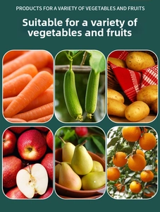 Versatile stainless steel 2-in-1 peeler used for carrots, potatoes, apples, and oranges