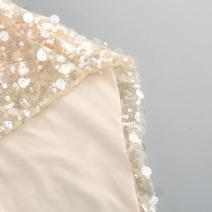 Detailed close-up of champagne evening dress with sequins and faux pearls on mesh