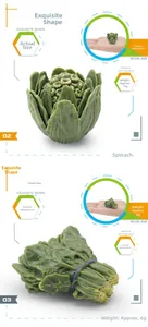 Detailed view of realistic miniature butterbur and spinach models with weights