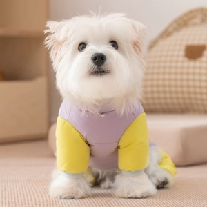 Combinaison d'hiver matelassée pour chien violette et jaune avec un col montant douillet