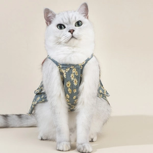 Close-up of a cat wearing a blue floral pet dress with yellow daisy patterns on light fabric
