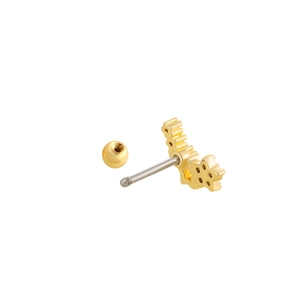 Macro shot of gold star flower earring with secure screw-back ball and polished finish