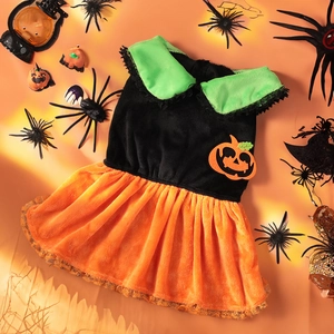 Detailed view of Halloween pet dress with pumpkin patch, black lace collar and orange skirt