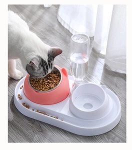 Cat using a dual pet feeder with stainless steel bowl and automatic water dispenser