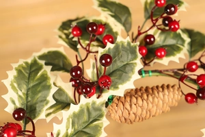 Close-up of Christmas decoration featuring pine cones, holly berries and white-edged leaves