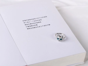 Detailansicht eines Vintage-Katzenrings aus Silber mit blauen Augen auf einem Buch