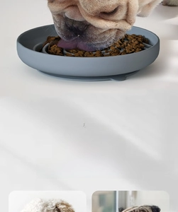 French Bulldog eating from a gray silicone slow feeder dog bowl with suction base