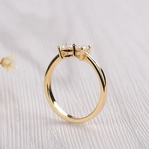 Elegant 18k gold S925 silver ring featuring two heart-shaped cubic zirconia stones