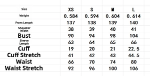 Detailed size chart for the French style ruffle sleeve V-neck long dress with measurements