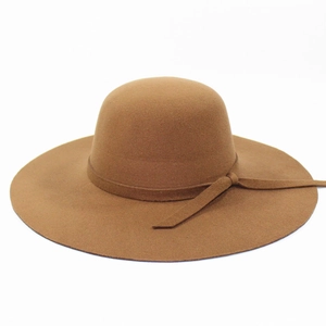 Elegant brown wide brim wool fedora hat with a dome top and minimalist side ribbon tie