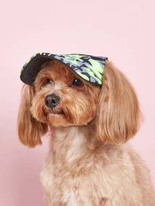 Vista frontale di un cane con cappello mimetico per animali con fori per le orecchie e visiera