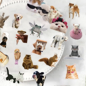 Cute Animal Meme Sticker Pack Waterproof Transparent PET Stickers For Laptop Scrapbooking Journaling DIY Decor