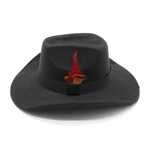 Detailed close-up of a black felt wide-brim hat featuring vibrant colorful feathers