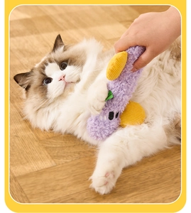 Close-up of a Ragdoll cat playing with a purple plush interactive toy on a wooden floor