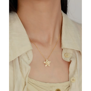 Elegante collana in argento S925 dorato con ciondolo a stella e zirconi brillanti