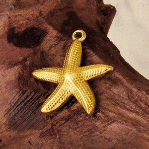 Detail of golden stainless steel starfish pendant with texture on a dark wood surface