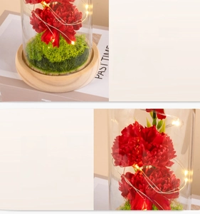 Preserved red carnation in a glass dome with warm LED lights on a wooden base