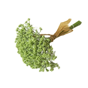 Artificial green baby's breath flower bouquet tied with brown paper ribbon on white background