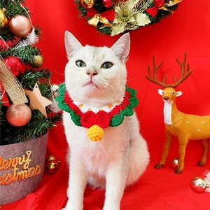 Detailed close-up of a white cat wearing a handmade knitted Christmas pet scarf with tree