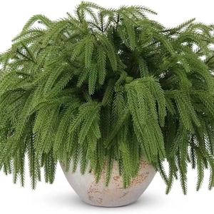 Realistic Norfolk pine artificial plant in a rustic ceramic pot for home decor