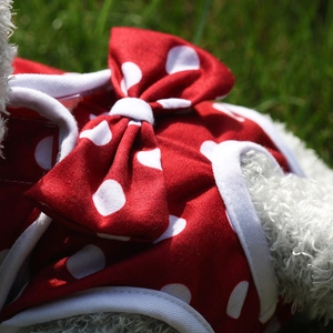 Close-up of red polka dot female dog hygiene pants with a decorative white bow