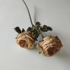 Artificial 2-head champagne burnt edge rose with green leaves on white background