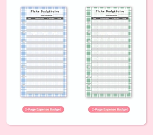 Detail of A6 6-hole binder refills featuring blue and green French budget sheets