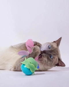 Gatto dagli occhi azzurri che gioca con palla interattiva e piume colorate