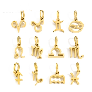 Set of 12 gold stainless steel zodiac pendants in a minimalist grid layout on white