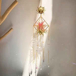 Golden sun suncatcher with air plant and crystal prisms casting rainbow light spots