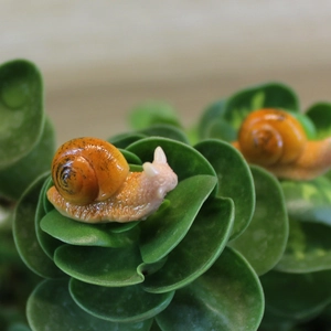 Miniature resin snail figurines for succulent garden pots and micro landscape decor