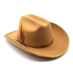 Brown wool felt cowboy hat with colorful feather decoration and wide brim for outdoors
