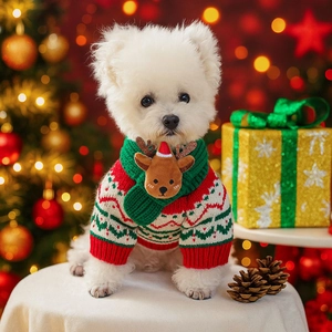 Cute Christmas pet sweater and reindeer scarf set for small dogs and cats on holiday