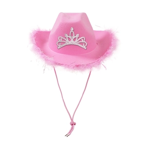 Pink western cowboy hat with fluffy feather trim and sparkling silver rhinestone crown