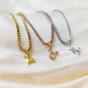 Stainless steel zodiac pendant necklaces with box chain in gold, rose gold and silver