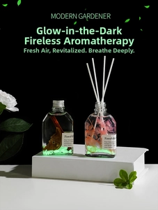 Détail du diffuseur lumineux avec fleurs séchées et pierres luminescentes en flacon verre