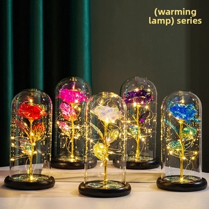 Detail of five-color gold foil roses in glass domes with warm LED lights and black bases