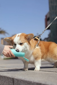 Close-up of a Corgi dog drinking from a portable teal pet water bottle in a city park