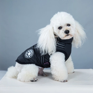 Close-up of small dog in black padded vest with Fashion Sports logo on grey background