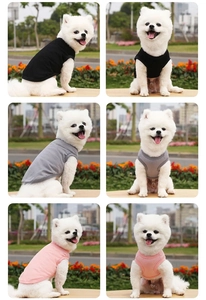 Outdoor view of a small white dog wearing cotton vests in black, grey, and pink colors