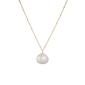 Elegante collana con ciondolo a conchiglia in titanio dorato e perla iridescente